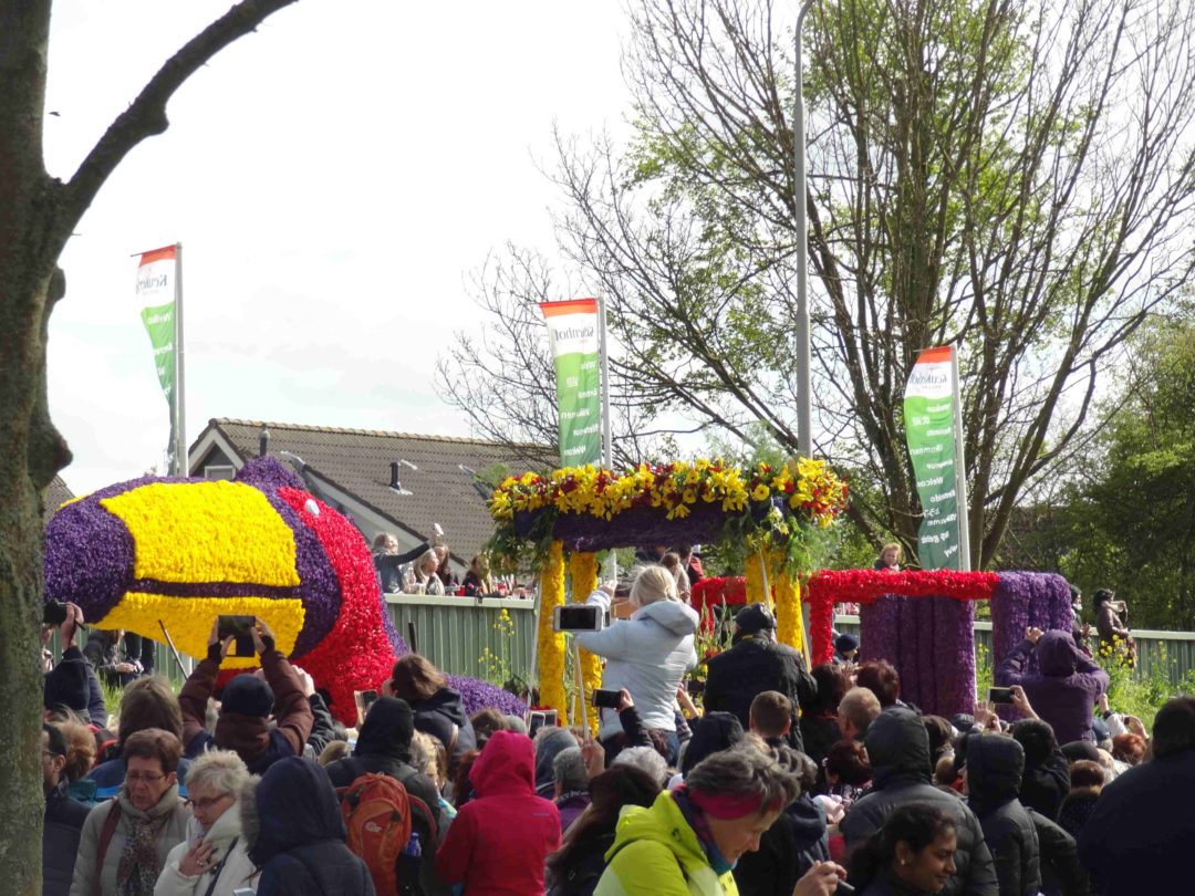 keukenhof13