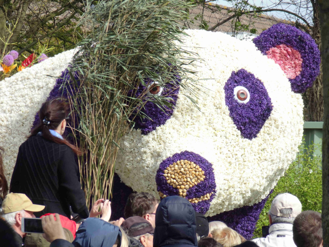 keukenhof14