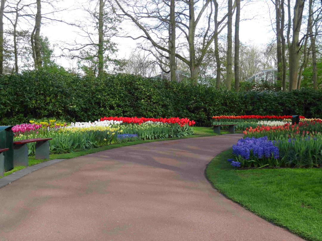 keukenhof8