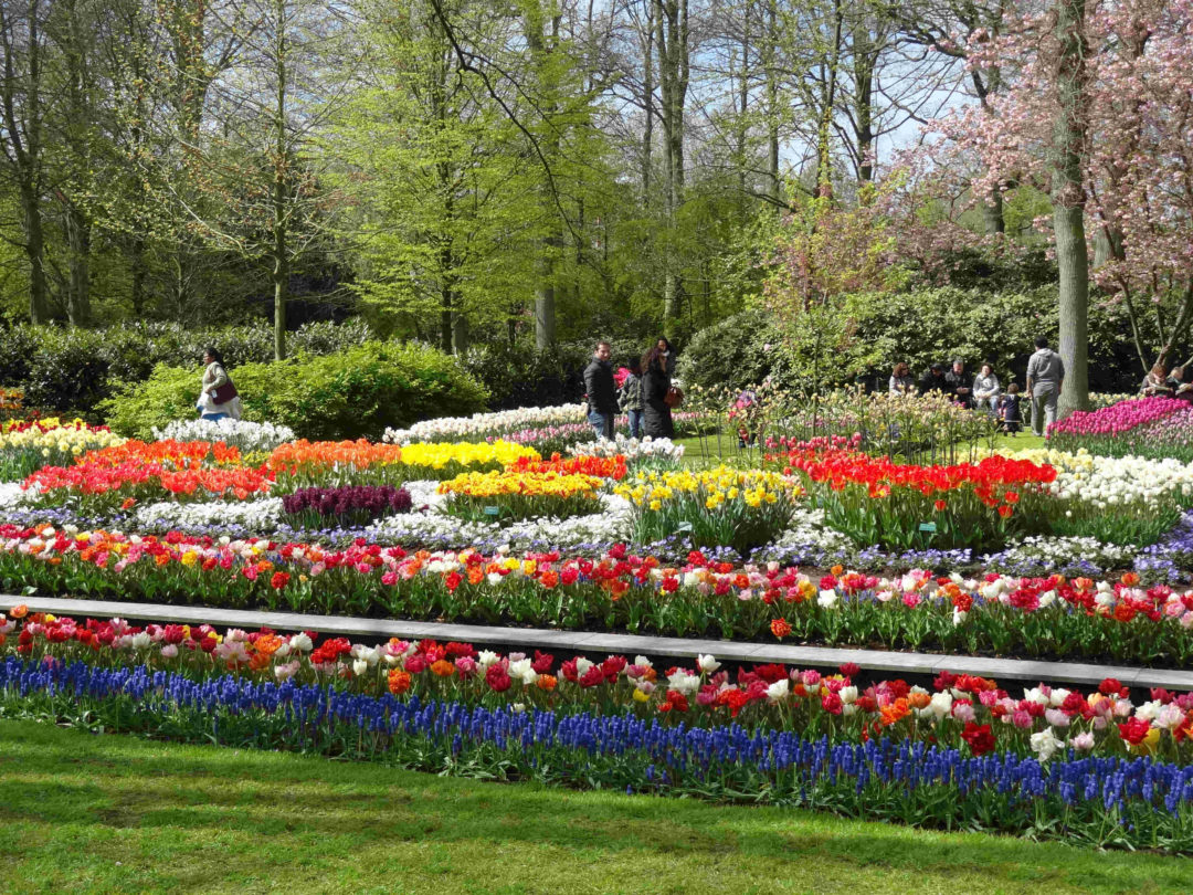 keukenhof9